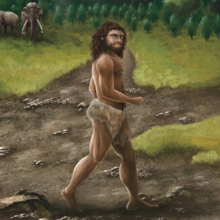 विंबलडन 150वीं वर्षगांठ के लिए क्षमता बढ़ाने हेतु प्रमुख नवीनीकरण